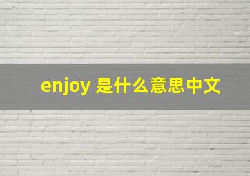 enjoy 是什么意思中文